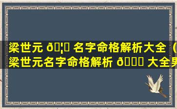 梁世元 🦋 名字命格解析大全（梁世元名字命格解析 🐕 大全男孩）